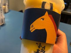 -春丽小马(济南恒隆广场店)