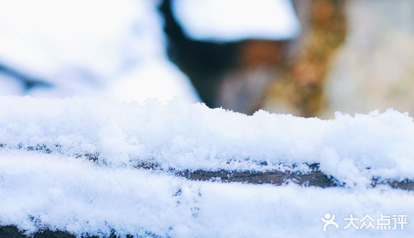 燕园初雪，还有你。
