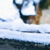燕园初雪，还有你。