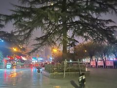 -西安市长乐公园