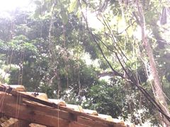 -Bamboo Saturday Market(Nana Jungle)