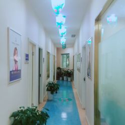 -碧莲盛·不剃发植发