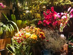 -春暖花开(西溪店)