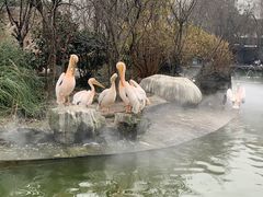 -成都动物园
