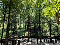 -沂蒙山旅游区云蒙景区(蒙山国家森林公园)