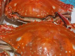 -北塘海鲜·天津菜(大光明桥旗舰店)