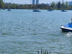 -昆山城市生态森林公园