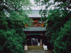 -灵谷景区