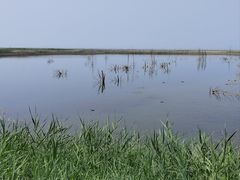 -野鸭湖国家湿地公园