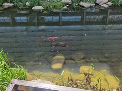 -活水公园