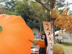-云栖山谷野奢营地