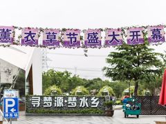 -上海杨姆庄园