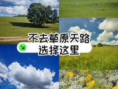 -御道口草原森林风景区