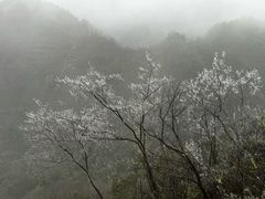 -崀山风景名胜区