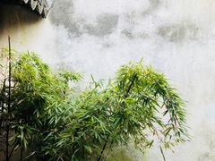 景点-西塘古镇-倪宅