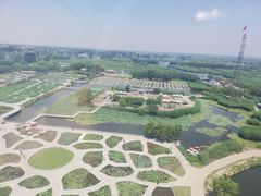 -白洋淀景区