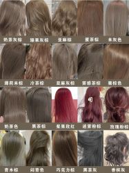-蚂蚁造型俱乐部