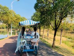 -艾溪湖湿地公园