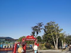 -上海长兴岛郊野公园