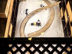 -福禧酒窖·中餐厅 (万柳店)