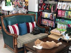 -欧奕国际动物医院