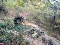 -宁波市保国寺古建筑博物馆