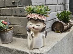 -庐灶江南·江南菜·四合院Bistro(东直门·华侨夜泊君亭店)