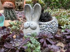-正佳雨林生态植物园