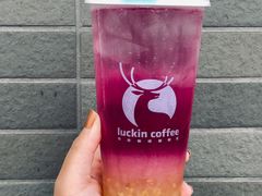 -luckincoffee瑞幸咖啡(东方都会大厦店)