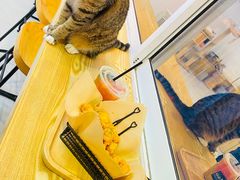 -Heymao猫咖.咖啡厅(东门店)