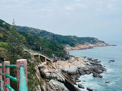 -广东惠东海龟国家级自然保护区