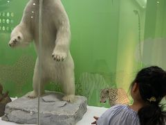 -国家自然博物馆