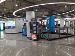 -东方体育中心(地铁站)