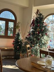 -WAVE SODA摄影工作室