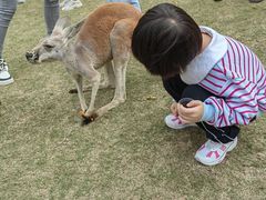 -泉州海丝野生动物世界