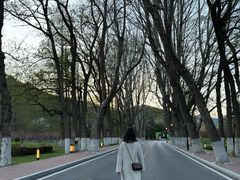 -棒棰岛宾馆景区