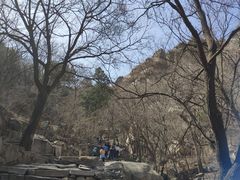 -北京鹫峰国家森林公园