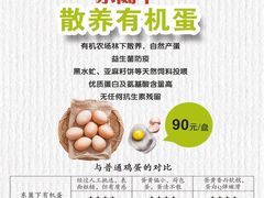 -番食园鲜食火锅(高新店)