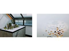 -大树餐厅(红旗街万达店)