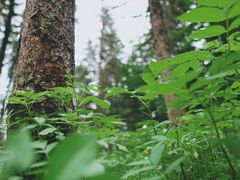 -硗碛藏寨·神木垒景区
