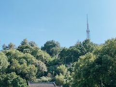 -乌山风景区