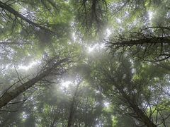 -龙窝子