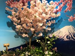 -嘉定凯悦·咖啡厅