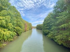 -上海海湾国家森林公园