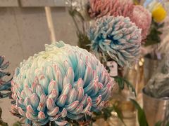 -二酉书店TOYOU BOOKS