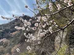-北京凤凰岭