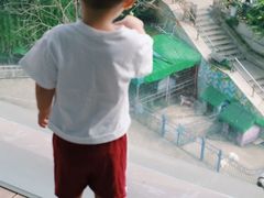-上海佘山世茂艾美酒店