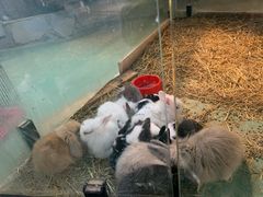 -居然之家家居生活MALL(丽泽店)