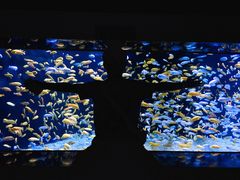 -成都浩海立方海洋公园