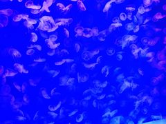 -沈阳海洋探索中心